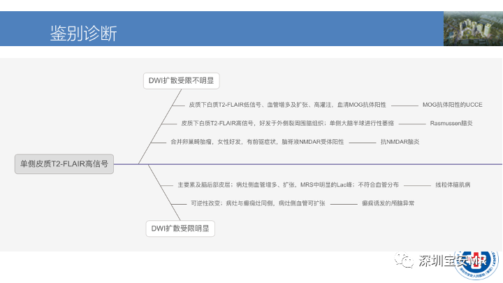影像PPT - 【PPT】MOG抗体阳性单侧皮质脑炎的影像诊断及鉴别诊断-23