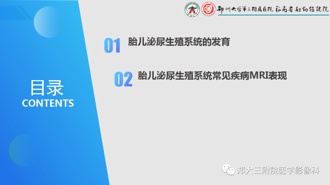 影像PPT - 【PPT】胎儿泌尿生殖系统常见疾病的MRI诊断-2