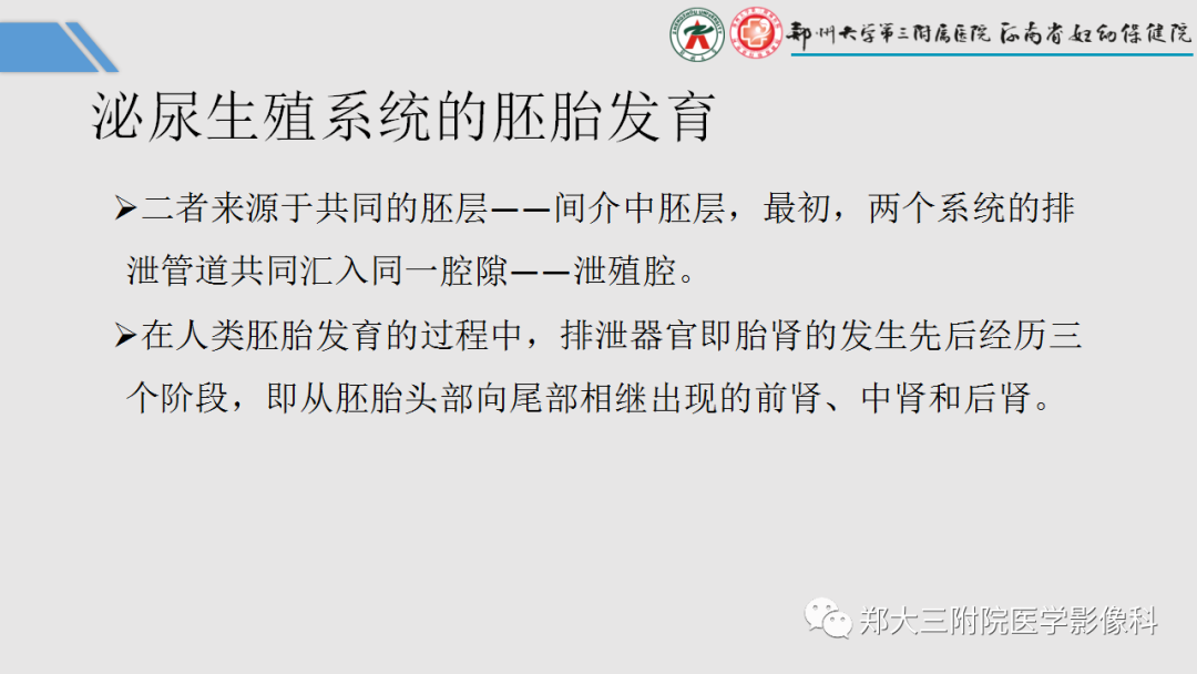 影像PPT - 【PPT】胎儿泌尿生殖系统常见疾病的MRI诊断-3