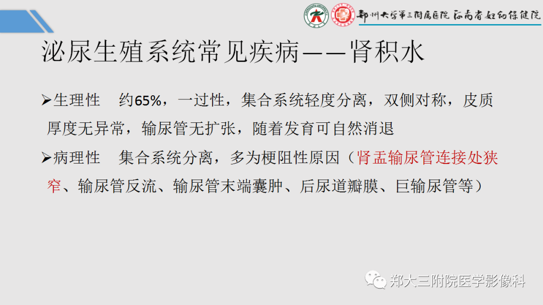 影像PPT - 【PPT】胎儿泌尿生殖系统常见疾病的MRI诊断-13