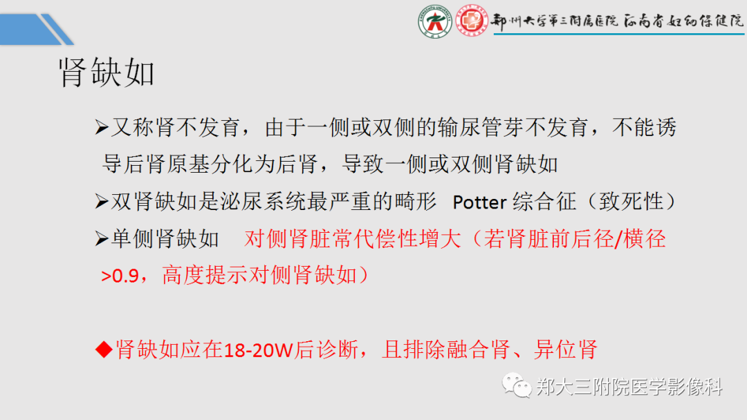 影像PPT - 【PPT】胎儿泌尿生殖系统常见疾病的MRI诊断-19