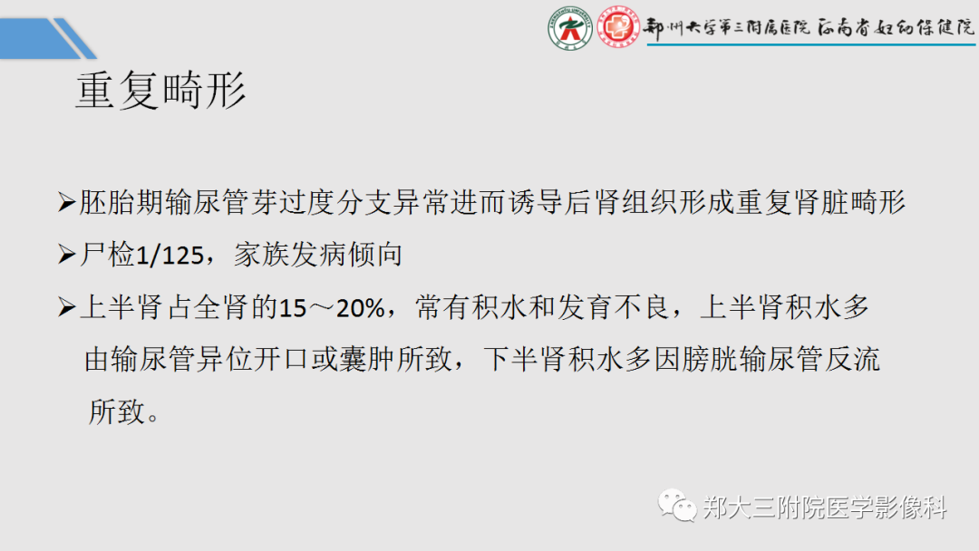 影像PPT - 【PPT】胎儿泌尿生殖系统常见疾病的MRI诊断-37