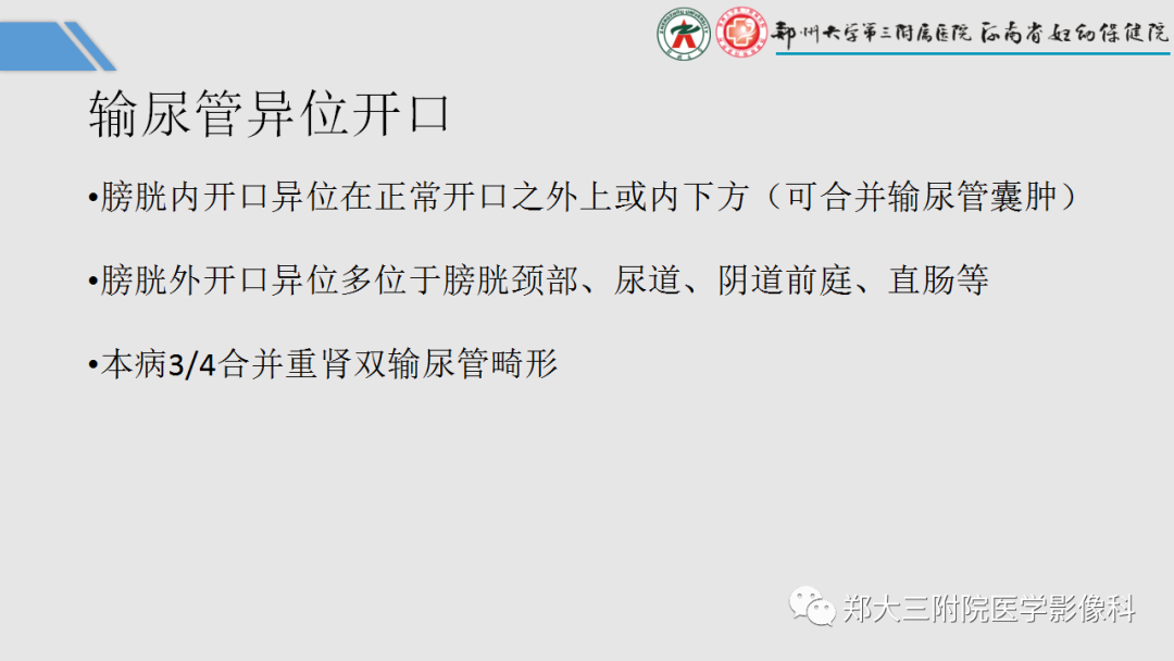 影像PPT - 【PPT】胎儿泌尿生殖系统常见疾病的MRI诊断-42