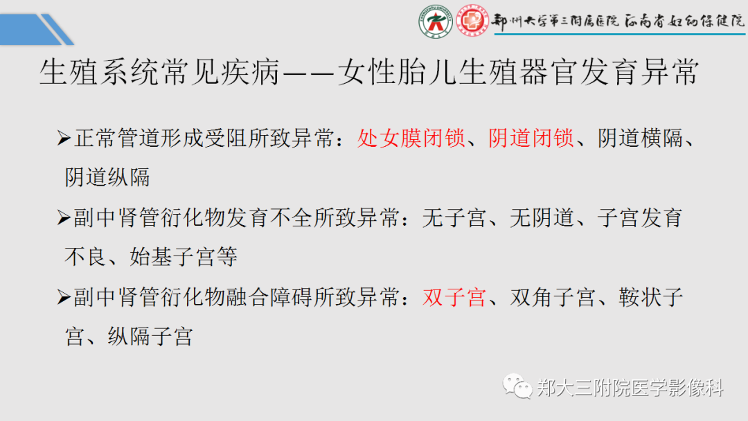 影像PPT - 【PPT】胎儿泌尿生殖系统常见疾病的MRI诊断-48