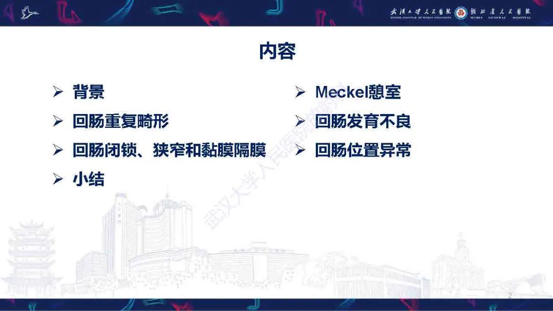 影像PPT - 【PPT】成人先天性回肠异常影像诊断-2