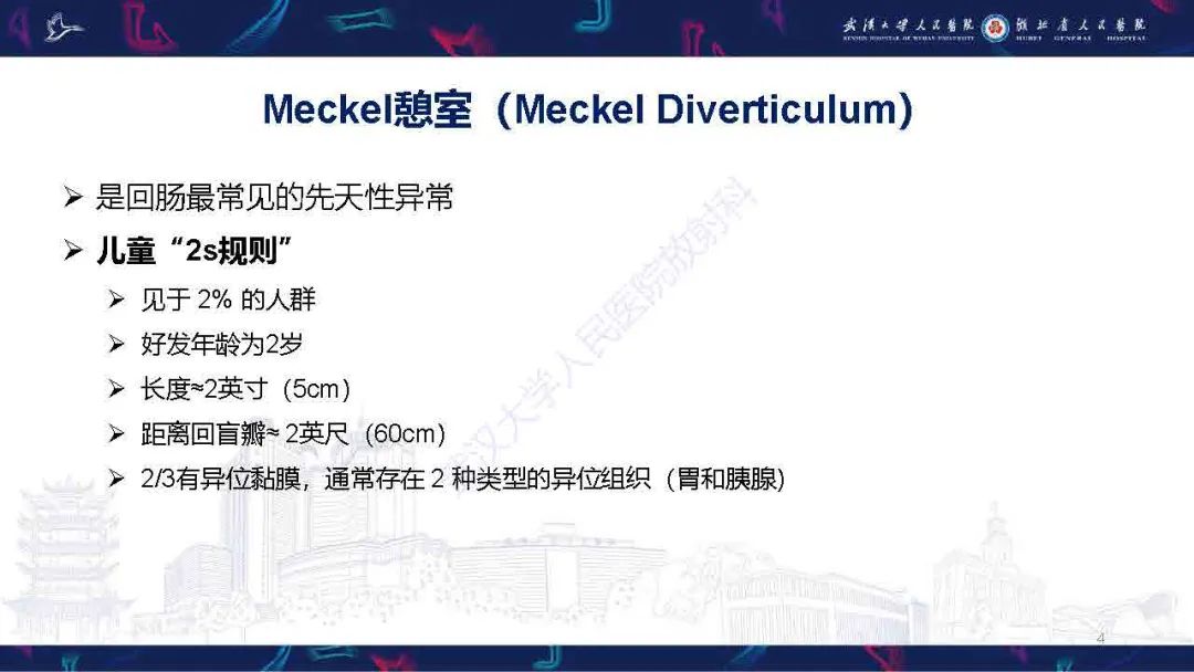 影像PPT - 【PPT】成人先天性回肠异常影像诊断-4
