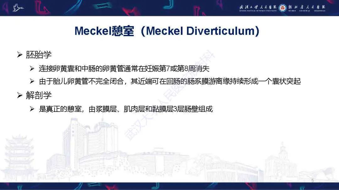 影像PPT - 【PPT】成人先天性回肠异常影像诊断-5
