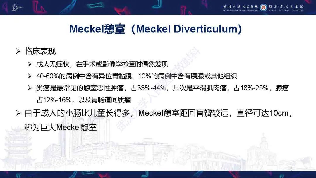 影像PPT - 【PPT】成人先天性回肠异常影像诊断-6