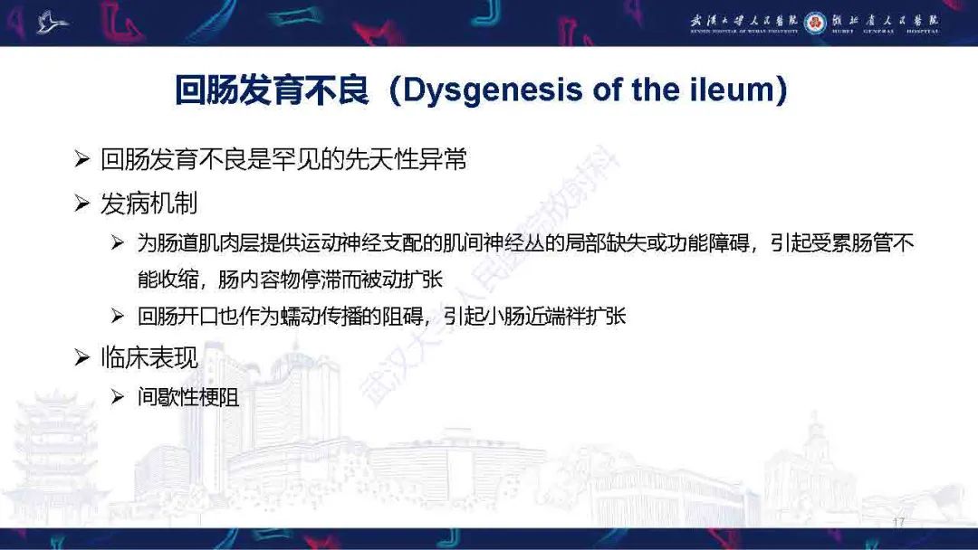 影像PPT - 【PPT】成人先天性回肠异常影像诊断-17