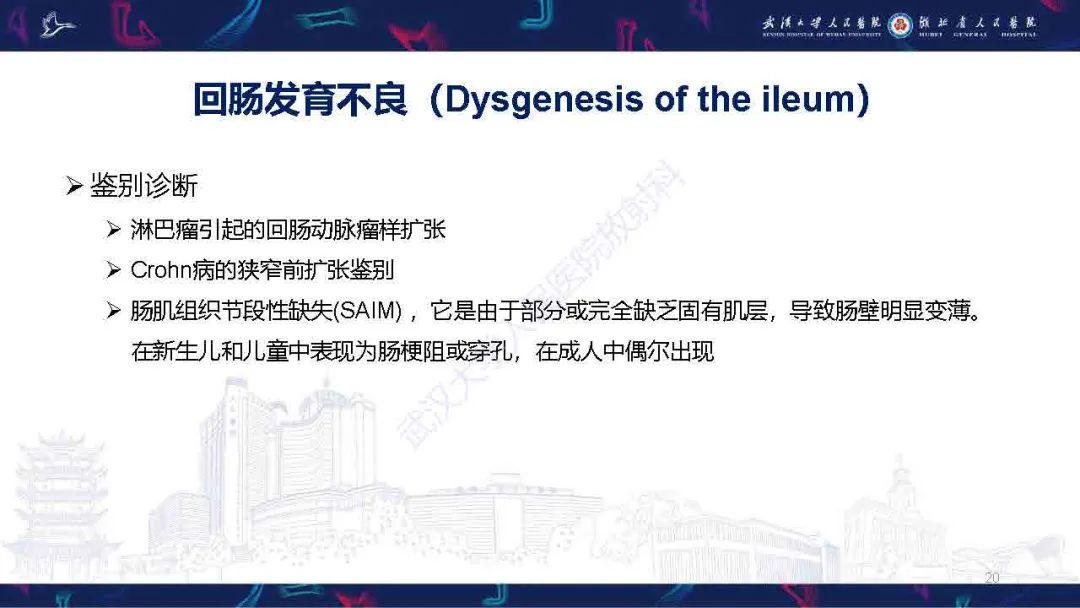 影像PPT - 【PPT】成人先天性回肠异常影像诊断-20