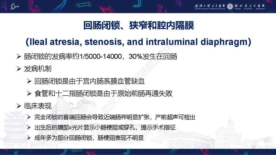影像PPT - 【PPT】成人先天性回肠异常影像诊断-21