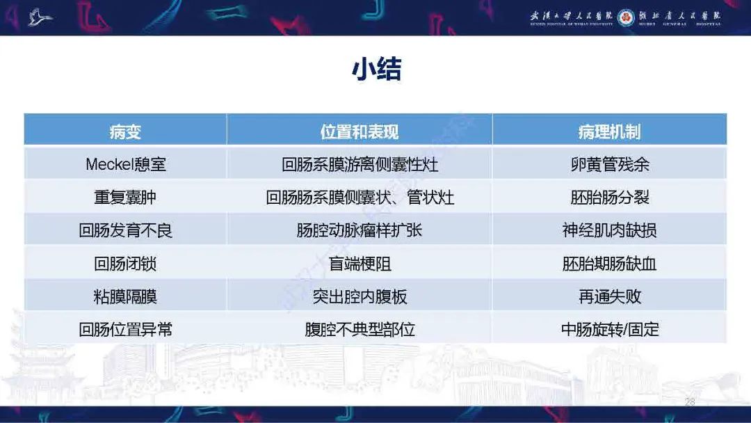 影像PPT - 【PPT】成人先天性回肠异常影像诊断-28