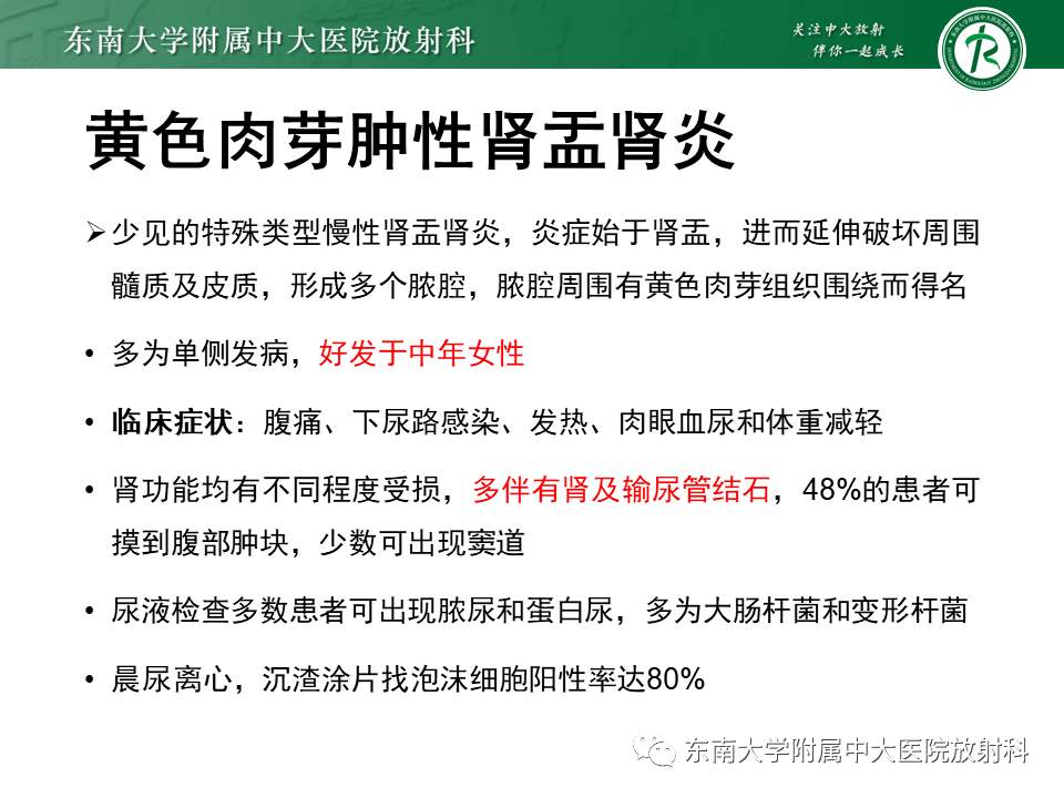 影像PPT - “条纹肾”的影像诊断意义-13 影像PPT - “条纹肾”的影像诊断意义-13
