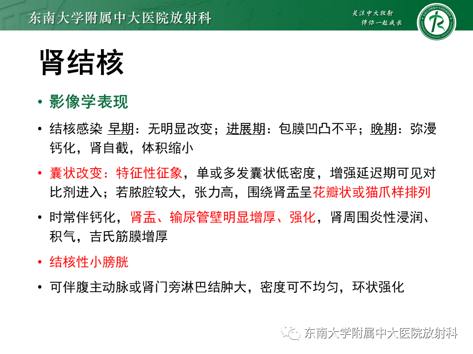 影像PPT - “条纹肾”的影像诊断意义-39 影像PPT - “条纹肾”的影像诊断意义-39