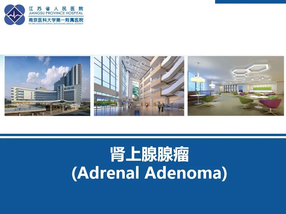 影像PPT - 【PPT】肾上腺腺瘤-41
