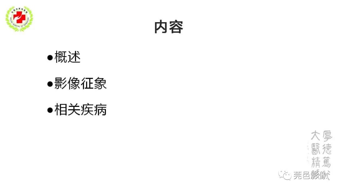 影像PPT - 【PPT】血管周围间隙及相关疾病-2