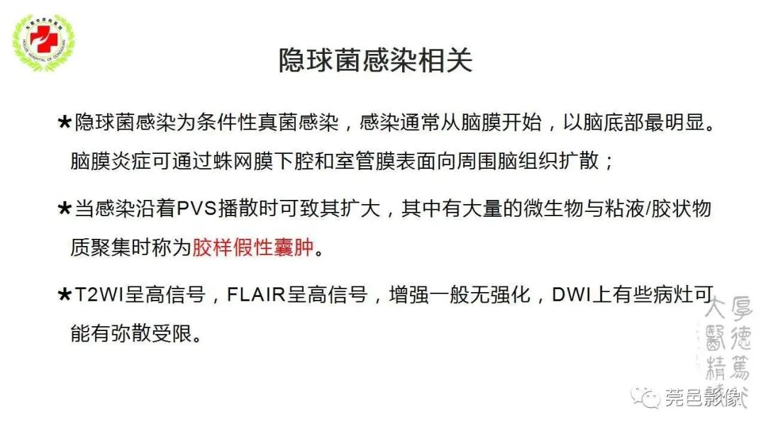 影像PPT - 【PPT】血管周围间隙及相关疾病-26