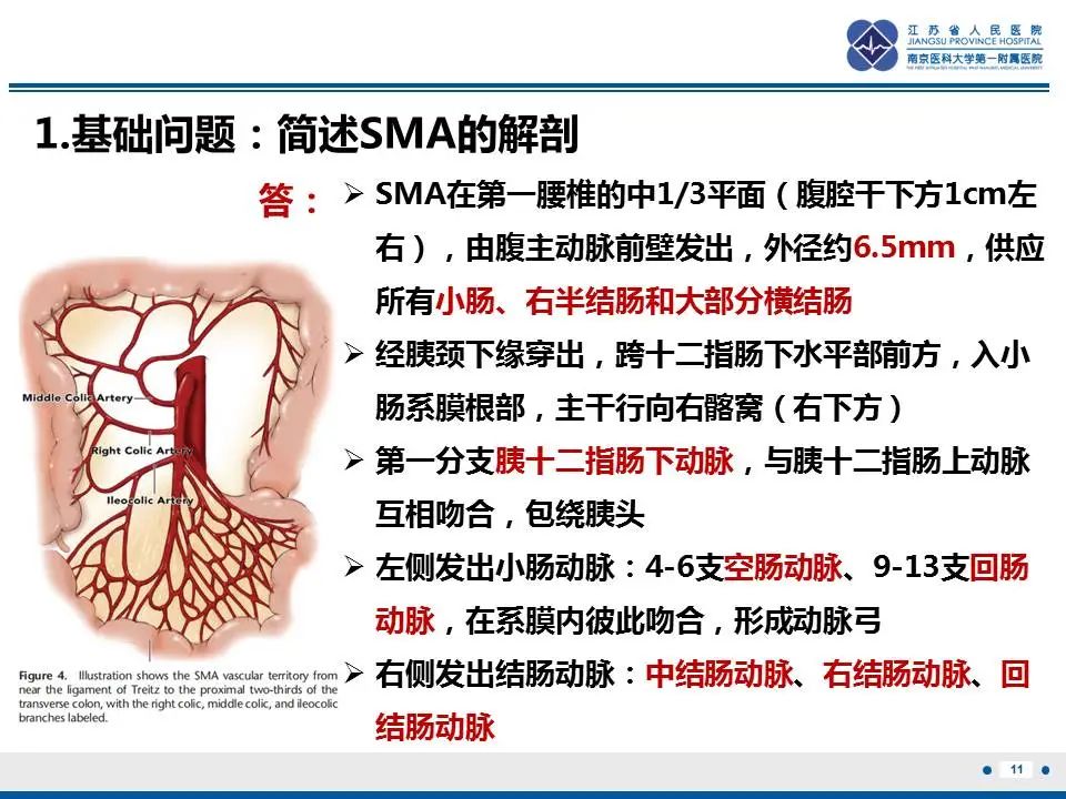影像PPT - 【PPT】自发性孤立性肠系膜上动脉夹层-12