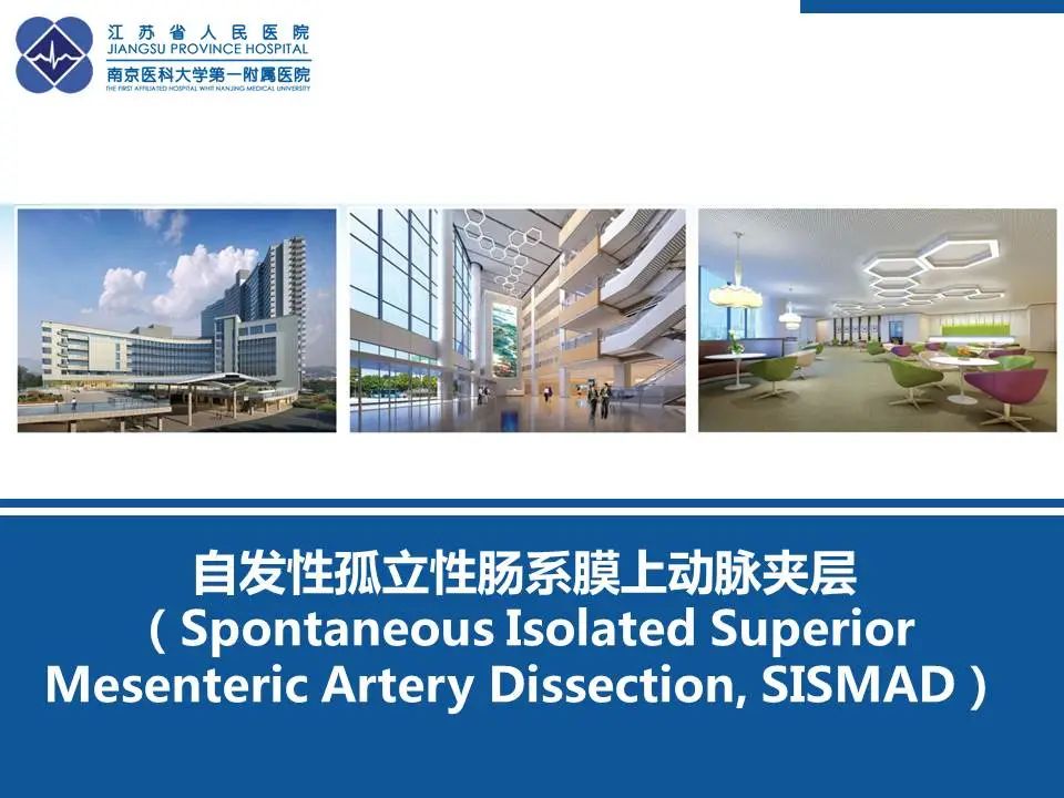 影像PPT - 【PPT】自发性孤立性肠系膜上动脉夹层-36
