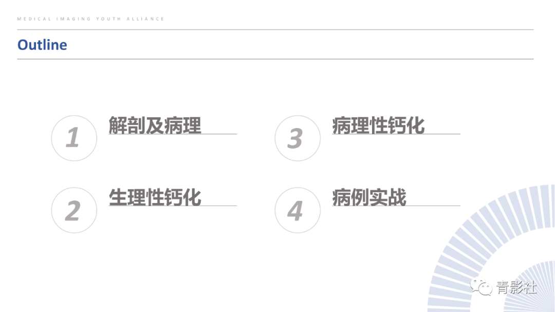 影像PPT - 【PPT】颅内钙化病变的影像诊断思路-2
