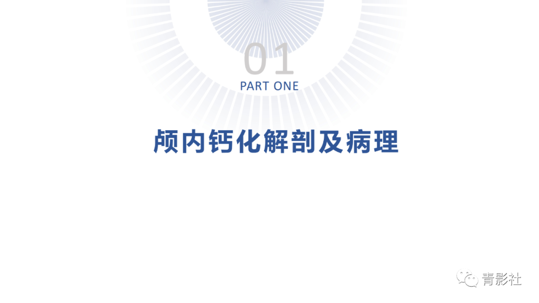 影像PPT - 【PPT】颅内钙化病变的影像诊断思路-3