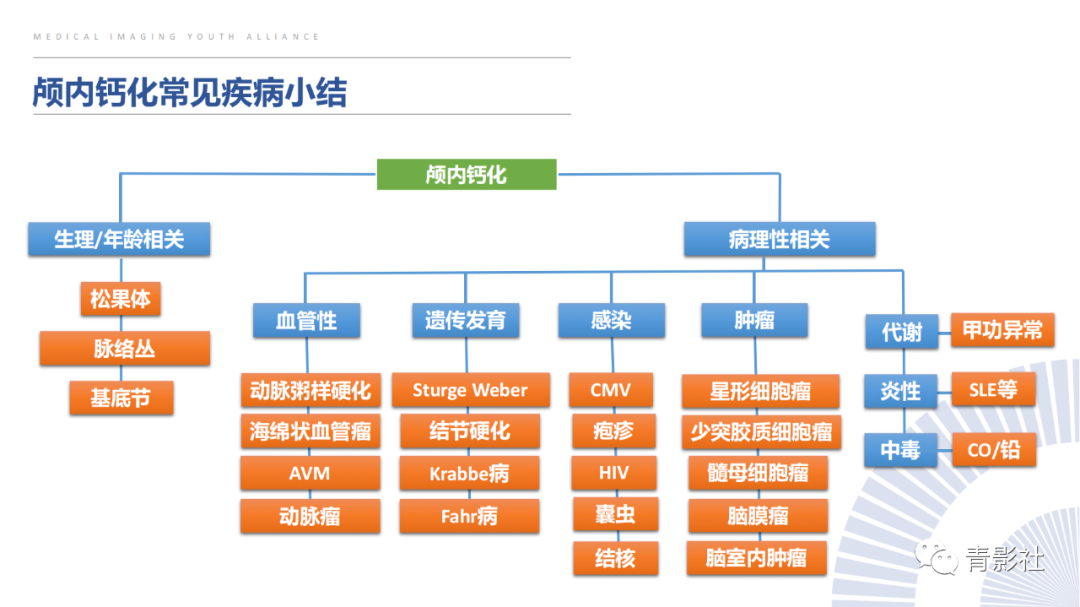 影像PPT - 【PPT】颅内钙化病变的影像诊断思路-40