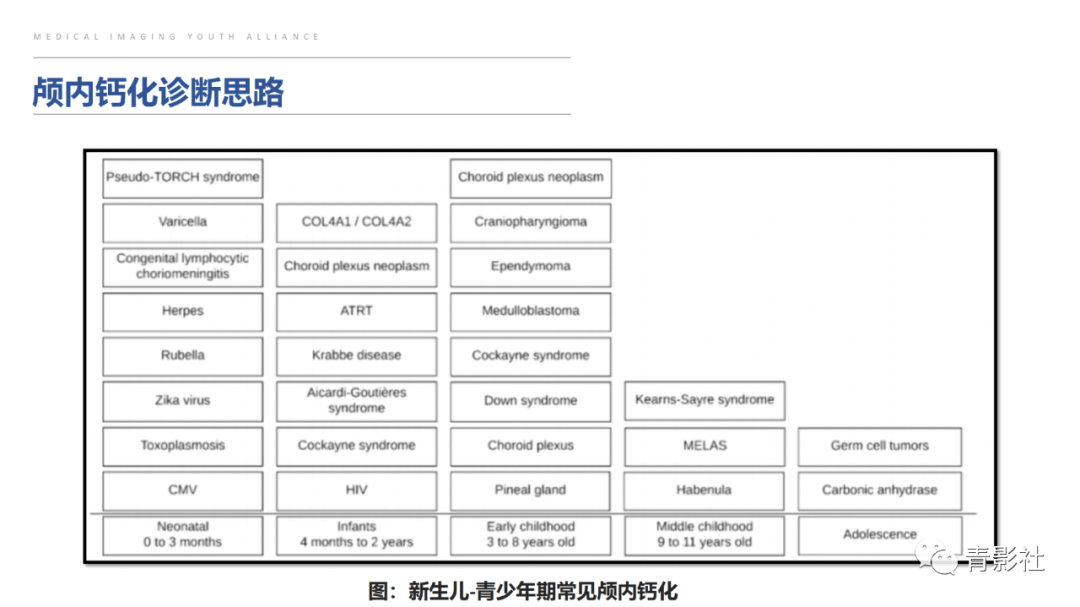 影像PPT - 【PPT】颅内钙化病变的影像诊断思路-42