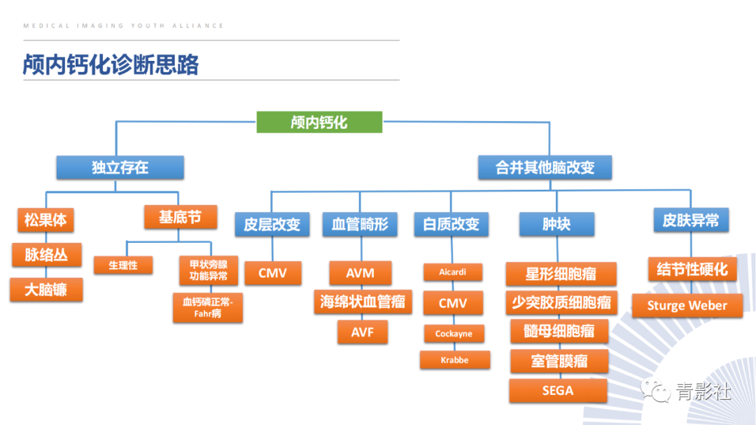 影像PPT - 【PPT】颅内钙化病变的影像诊断思路-43
