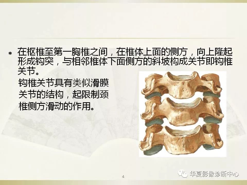 影像PPT - 【PPT】颈椎病影像诊断及临床分型-4