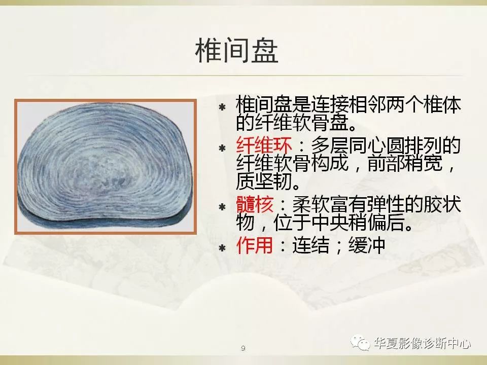 影像PPT - 【PPT】颈椎病影像诊断及临床分型-9