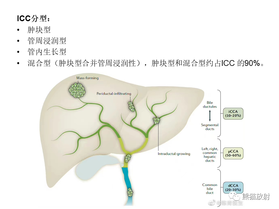影像PPT - 【病例】肝内胆管细胞癌2例MR影像-18