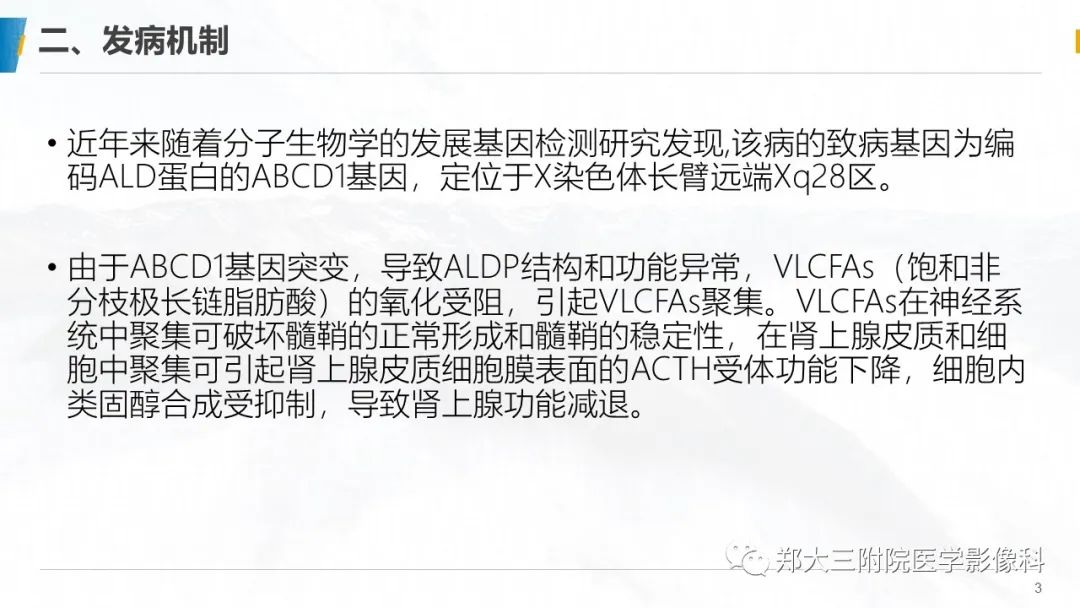影像PPT - 【PPT】肾上腺脑白质营养不良影像诊断-3