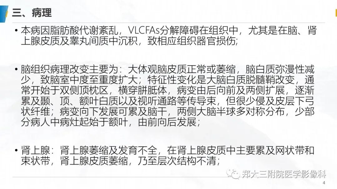影像PPT - 【PPT】肾上腺脑白质营养不良影像诊断-4