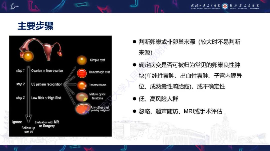 影像PPT - 【PPT】卵巢囊性病变影像诊断思路-2