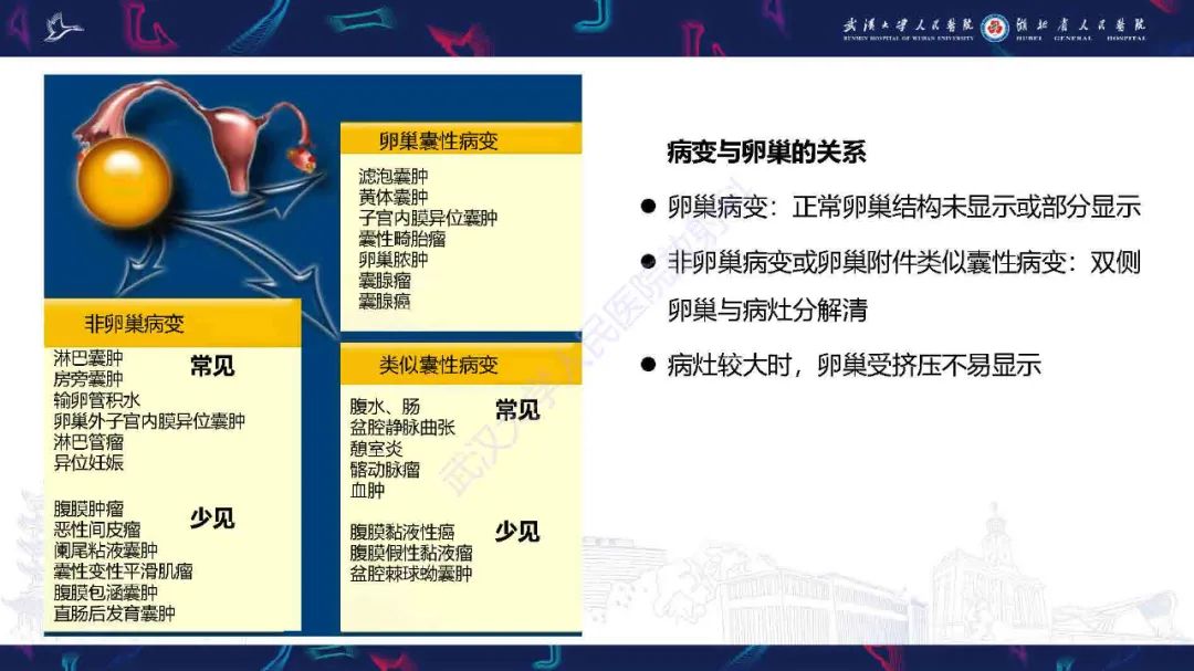 影像PPT - 【PPT】卵巢囊性病变影像诊断思路-7