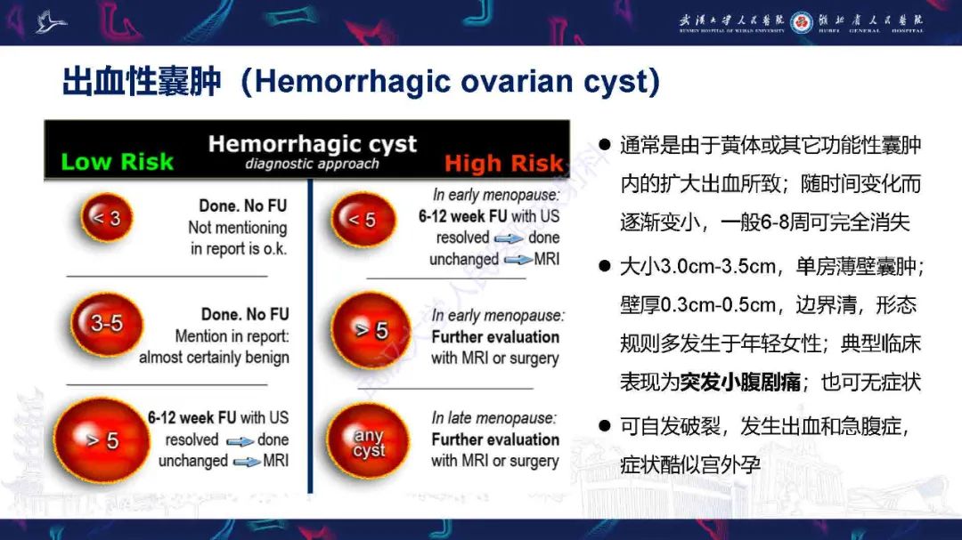 影像PPT - 【PPT】卵巢囊性病变影像诊断思路-19