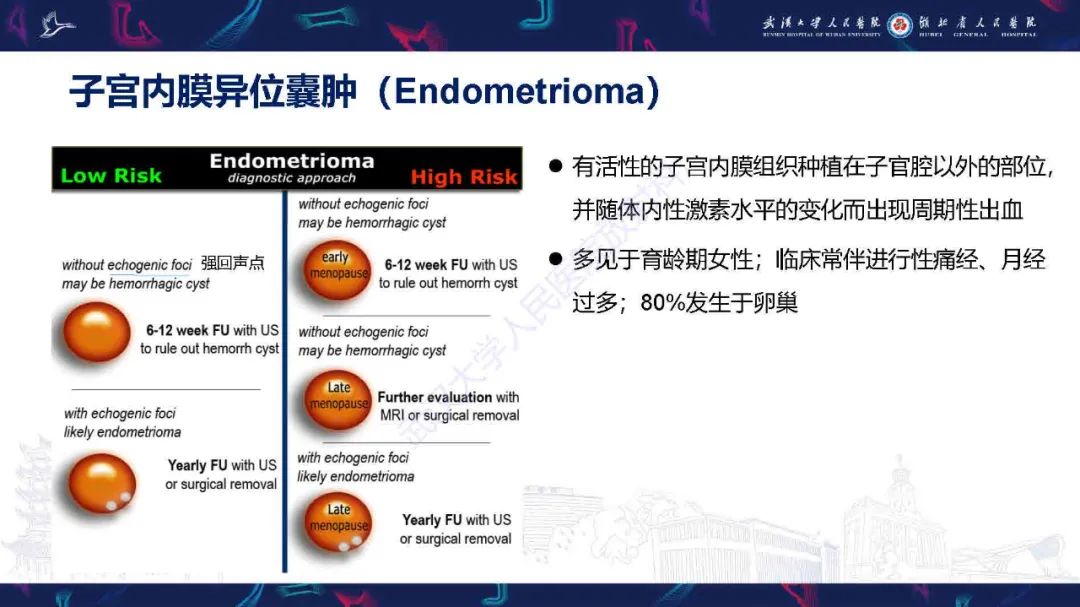 影像PPT - 【PPT】卵巢囊性病变影像诊断思路-23