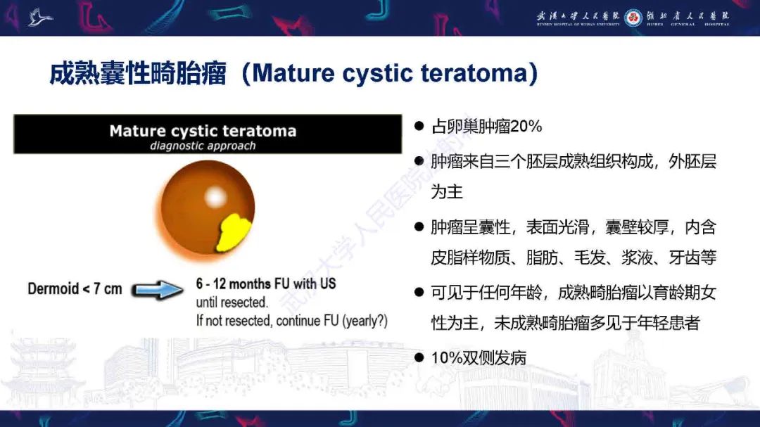 影像PPT - 【PPT】卵巢囊性病变影像诊断思路-26