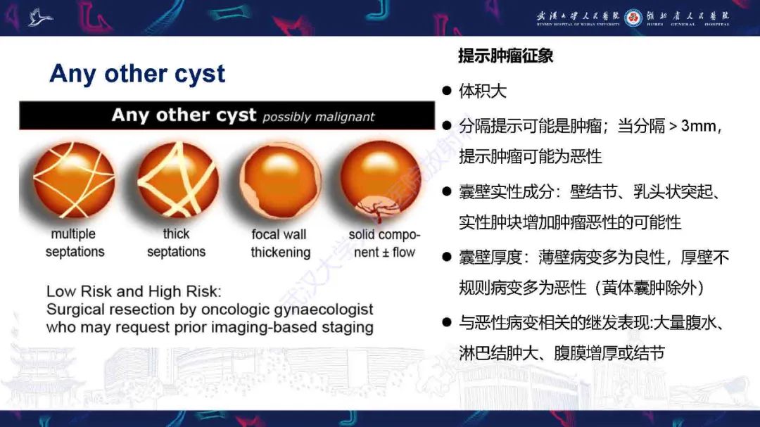 影像PPT - 【PPT】卵巢囊性病变影像诊断思路-30