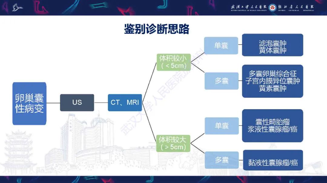 影像PPT - 【PPT】卵巢囊性病变影像诊断思路-35
