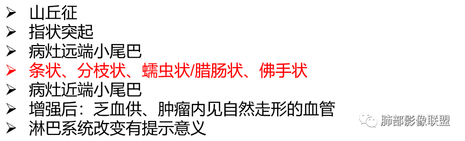 影像PPT - 周围型小细胞肺癌影像征象—条状、分支状、蠕虫样改变-26 影像PPT - 周围型小细胞肺癌影像征象—条状、分支状、蠕虫样改变-26