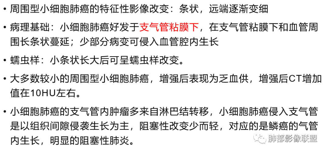 影像PPT - 周围型小细胞肺癌影像征象—条状、分支状、蠕虫样改变-27 影像PPT - 周围型小细胞肺癌影像征象—条状、分支状、蠕虫样改变-27
