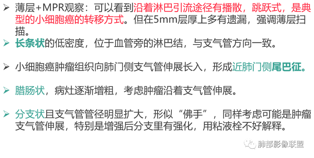 影像PPT - 周围型小细胞肺癌影像征象—条状、分支状、蠕虫样改变-28 影像PPT - 周围型小细胞肺癌影像征象—条状、分支状、蠕虫样改变-28