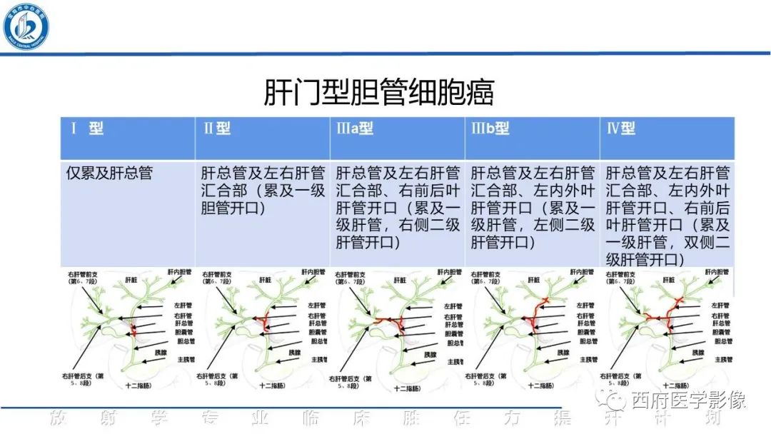 影像PPT - 【病例】胆管癌1例CT及MR影像-17