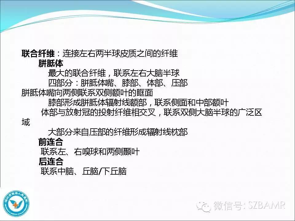 影像PPT - 【PPT】大脑白质纤维束解剖应用-3