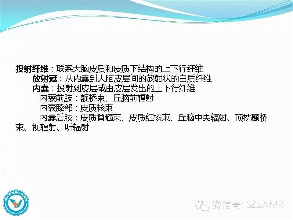 影像PPT - 【PPT】大脑白质纤维束解剖应用-4