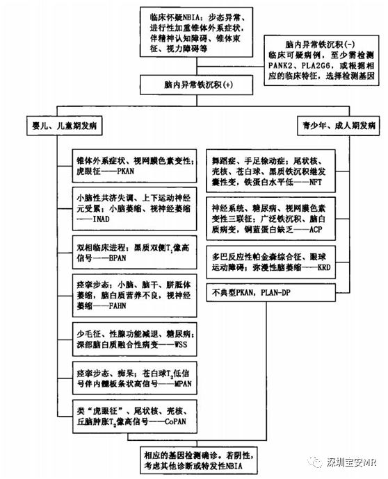 影像PPT - 脑组织铁沉积神经变性病临床与影像诊断-19 影像PPT - 脑组织铁沉积神经变性病临床与影像诊断-19