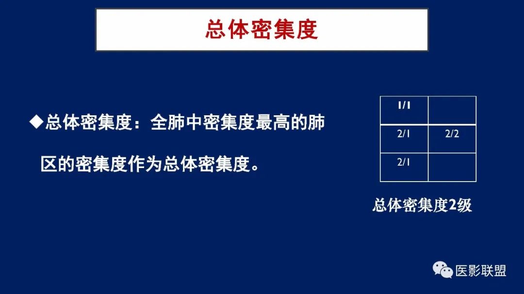 影像PPT - 【PPT】如何精准解读尘肺X片及诊断-37