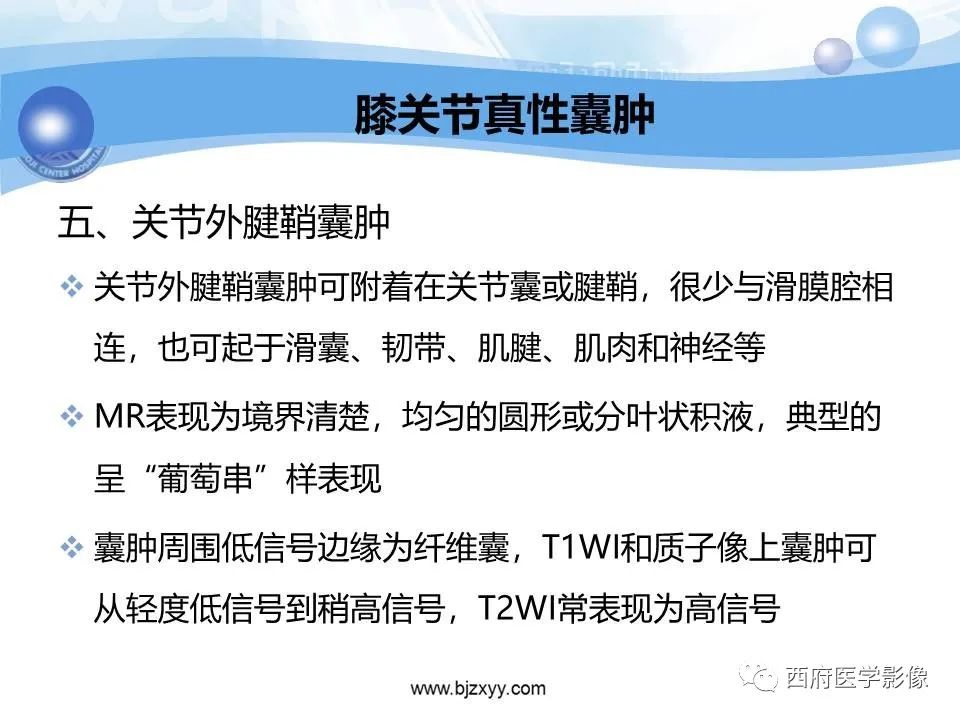 影像PPT - 【PPT】膝关节囊性病变影像诊断-22