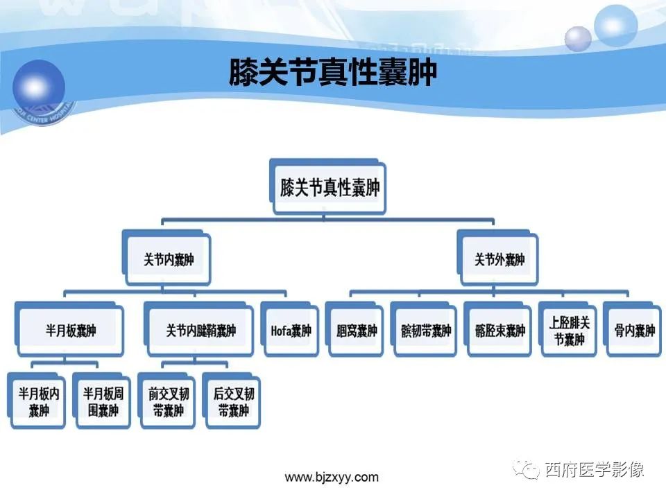 影像PPT - 【PPT】膝关节囊性病变影像诊断-49